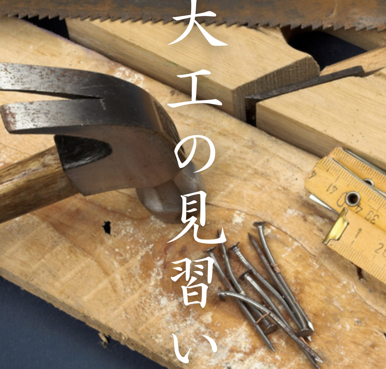 大工の見習い No.2