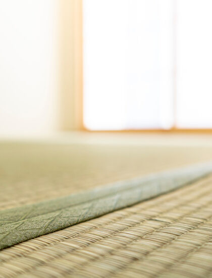 きれいな畳を長く維持しよう　カビ対策と掃除法